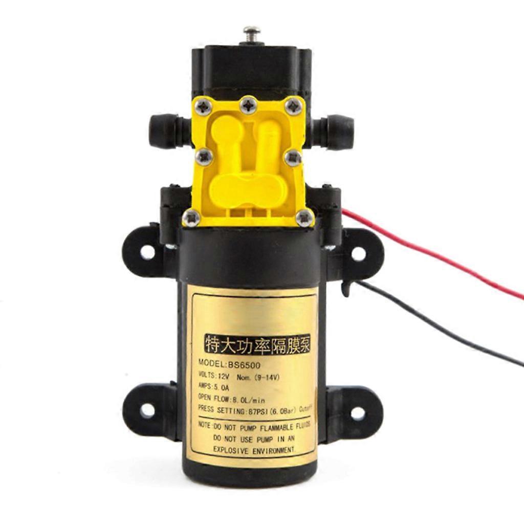 Stor flowmembran Vandpumpe Selvansugepumpe Automatisk switch Vandpumpe