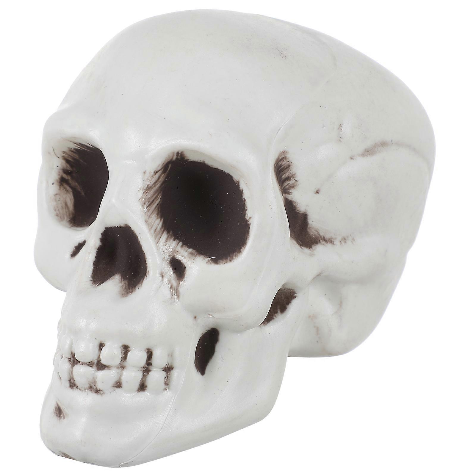 3pcs Realistic Skull Decor Halloween Skeleton Head Models for Parties, Bars, Haunted Houses – Durable Tabletop Adornment