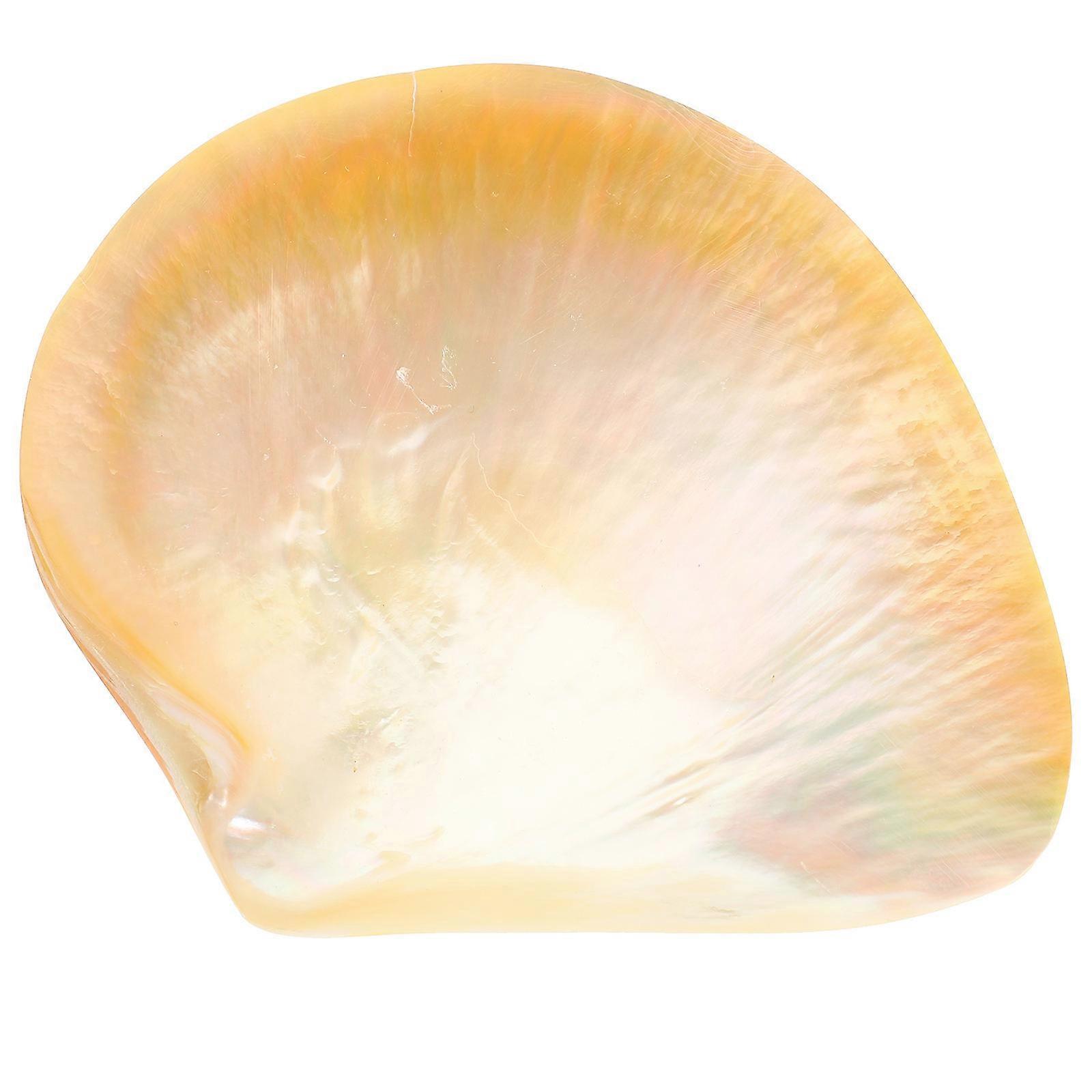 Food Tray Shell Plates for Home Serving 4Pcs Elegant Dessert