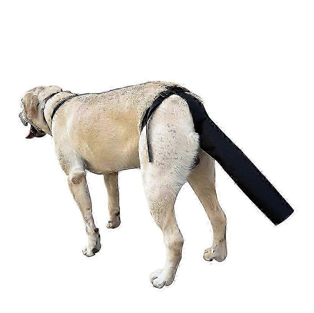 Protège-queue pour chien, protège-queue pour blessures, harnais noir
