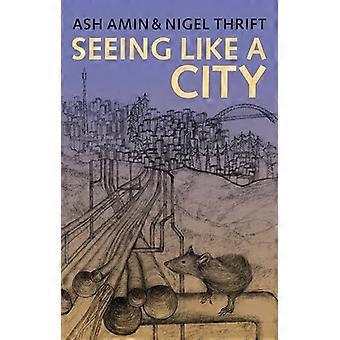Seeing Like a City