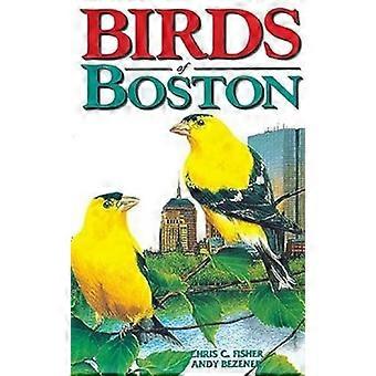 Vögel von Boston (Vogel Stadtführer)