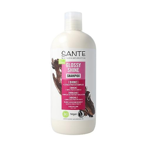 Birch shine shampoo & vegetable protein 500 ml