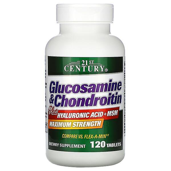 21st Century, Glucosamine & Chondroitin Plus Hyaluronic Acid + MSM, 120 Tablets
