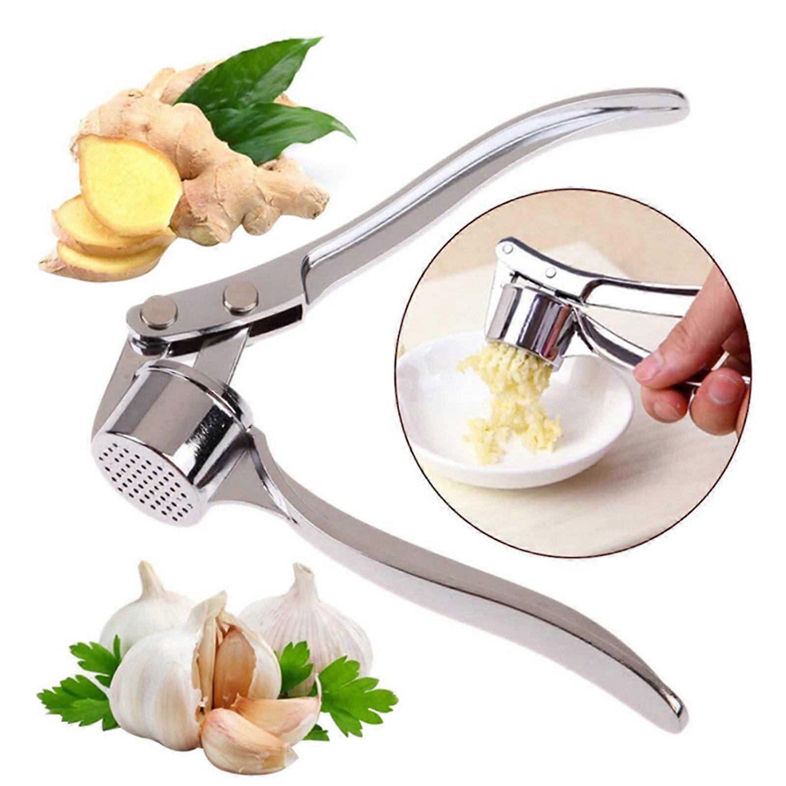 Culinary Kitchen Garlic Crusher Cum FLYE2180