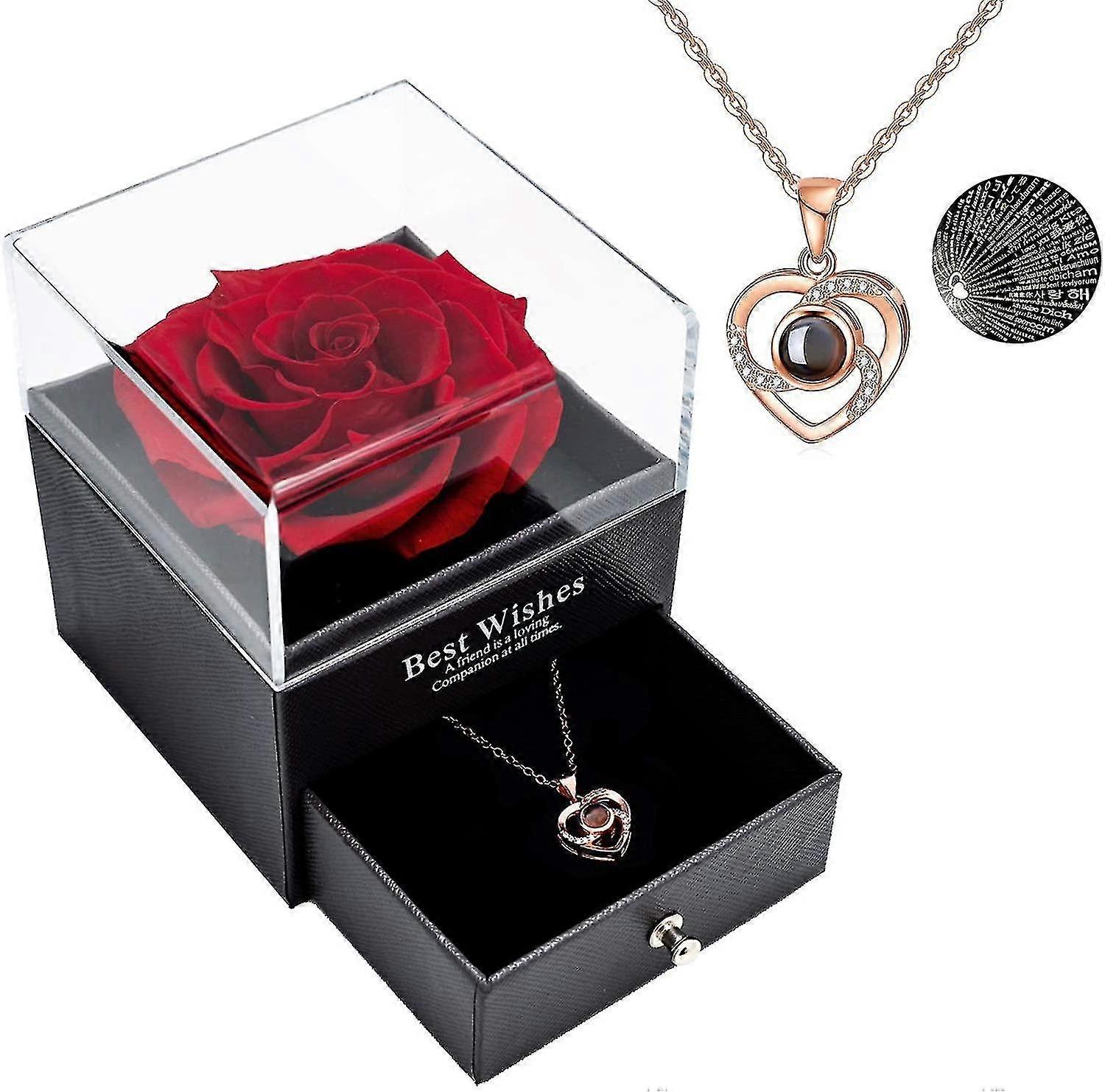 Real Rose And Love You Necklace In 100 Languages Gift Set