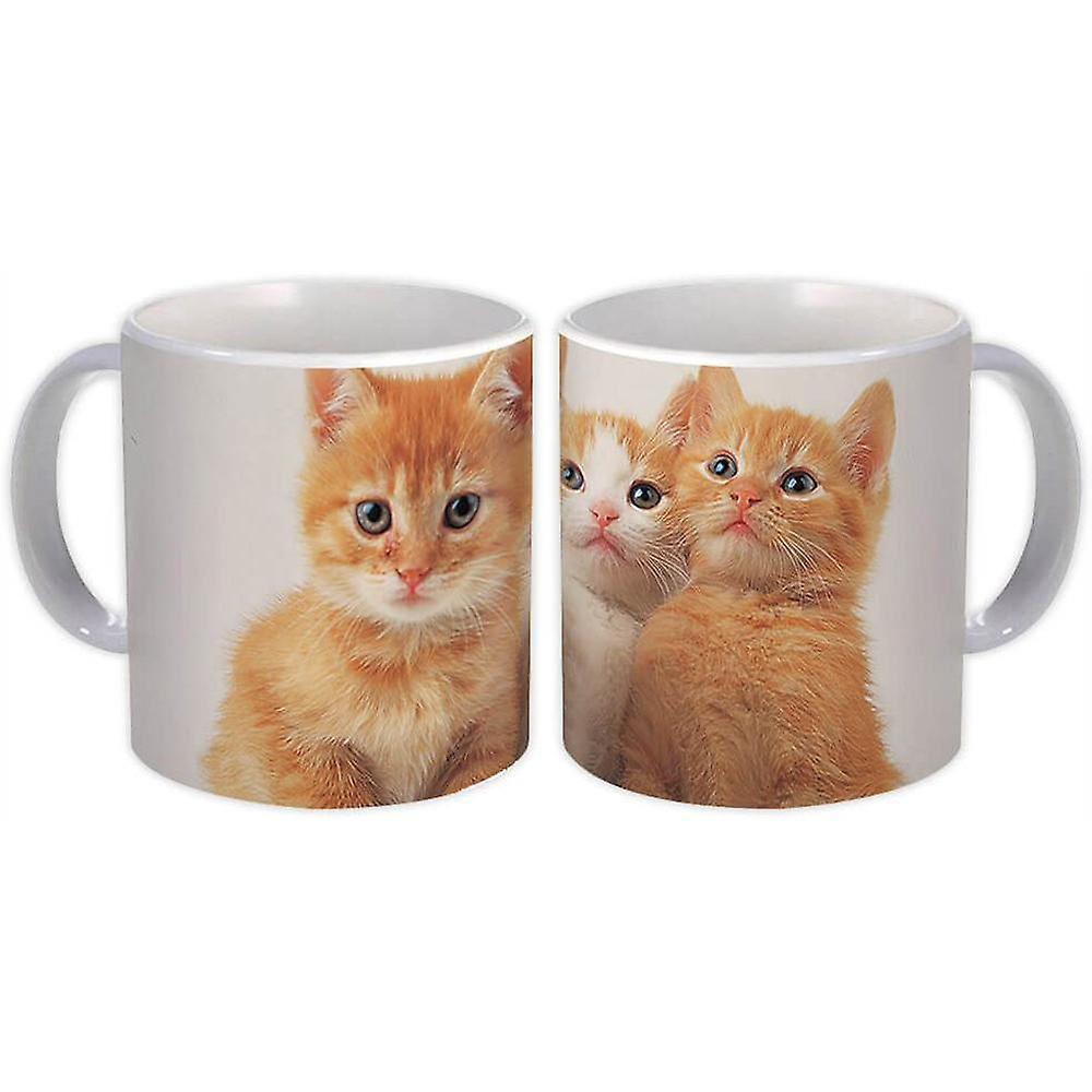 Gift Mug: Cat Animal