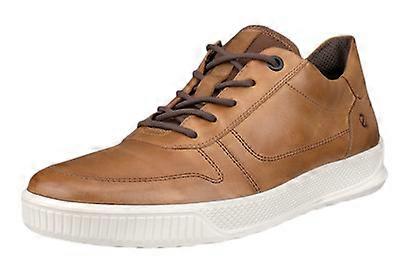 Shoes Ecco Byway Oxford 50167402034
