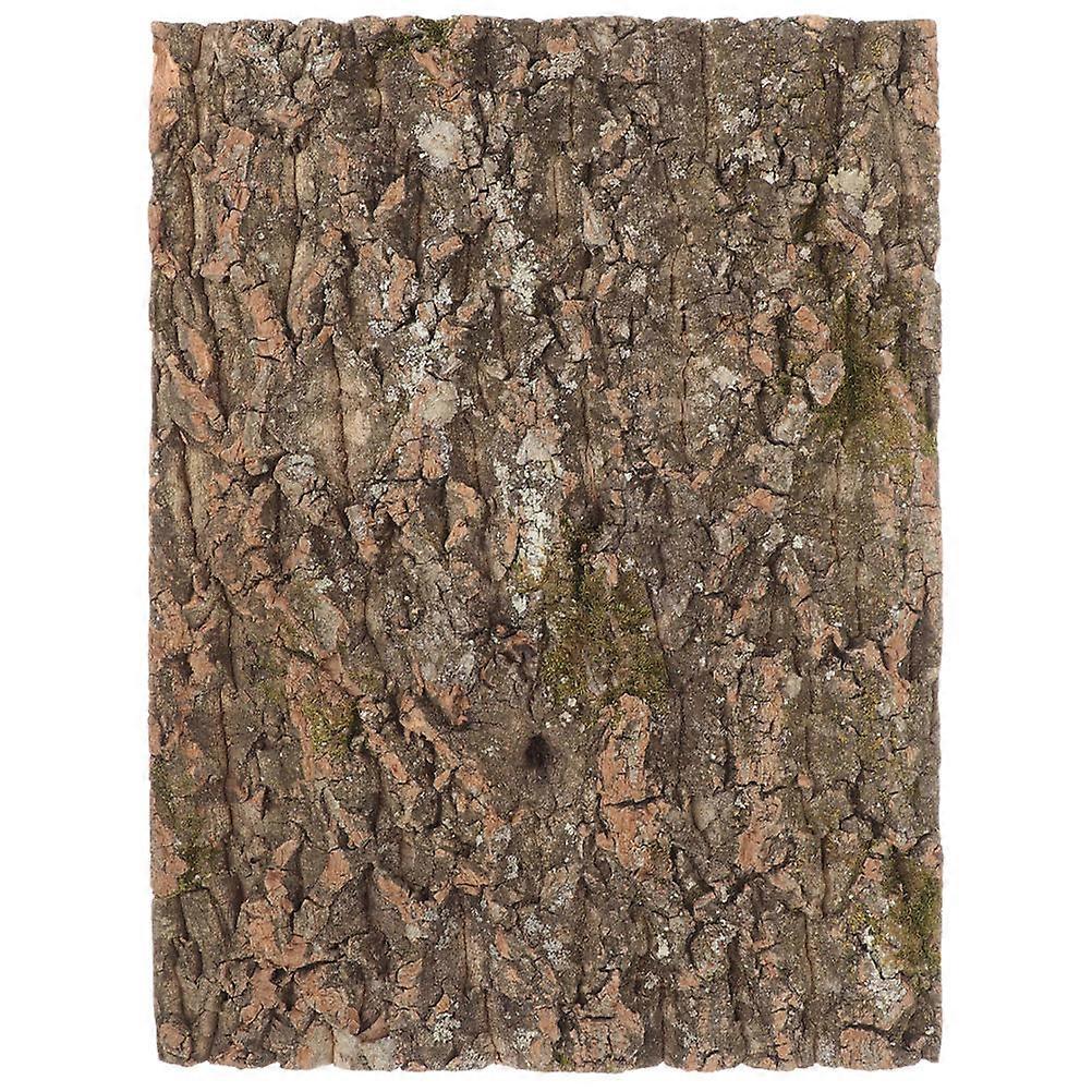 Reptile Enclosure Backdrop, Adds Personality to Terrarium Spaces