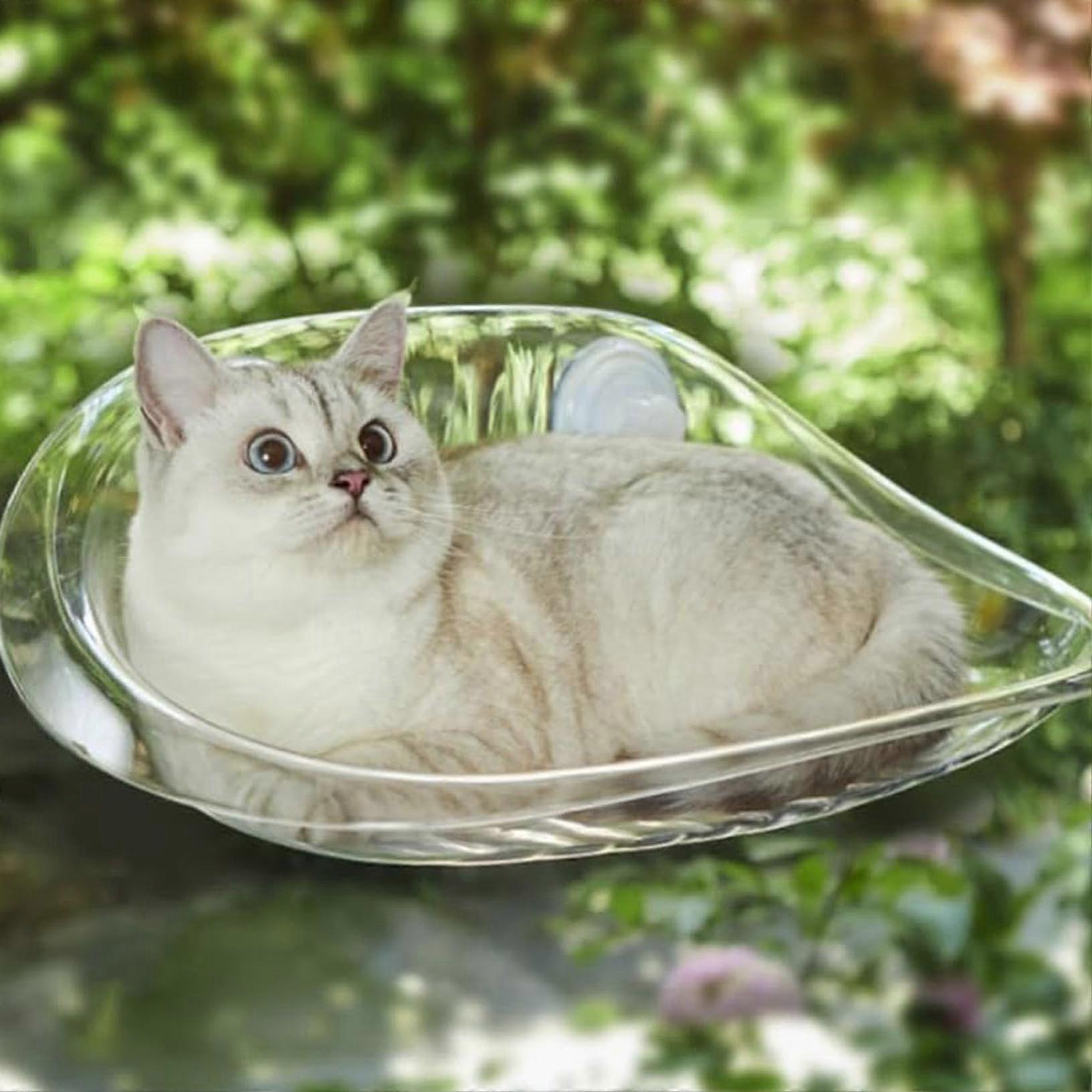 Cat Hammock for Window Seats Summer Cooling, Foldable, 50 x 30 cm, Stable Suction Cups up to 10 kg, Pink (Transparent)