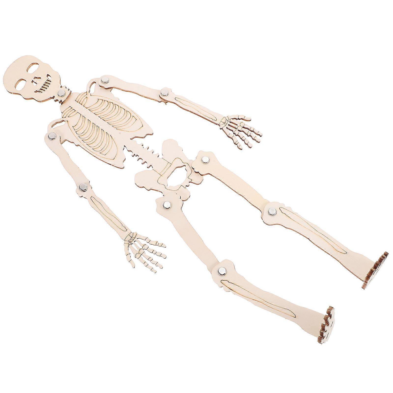 Human Skeleton Cognitive Model Wooden Assembly Kit Educational 5Sets