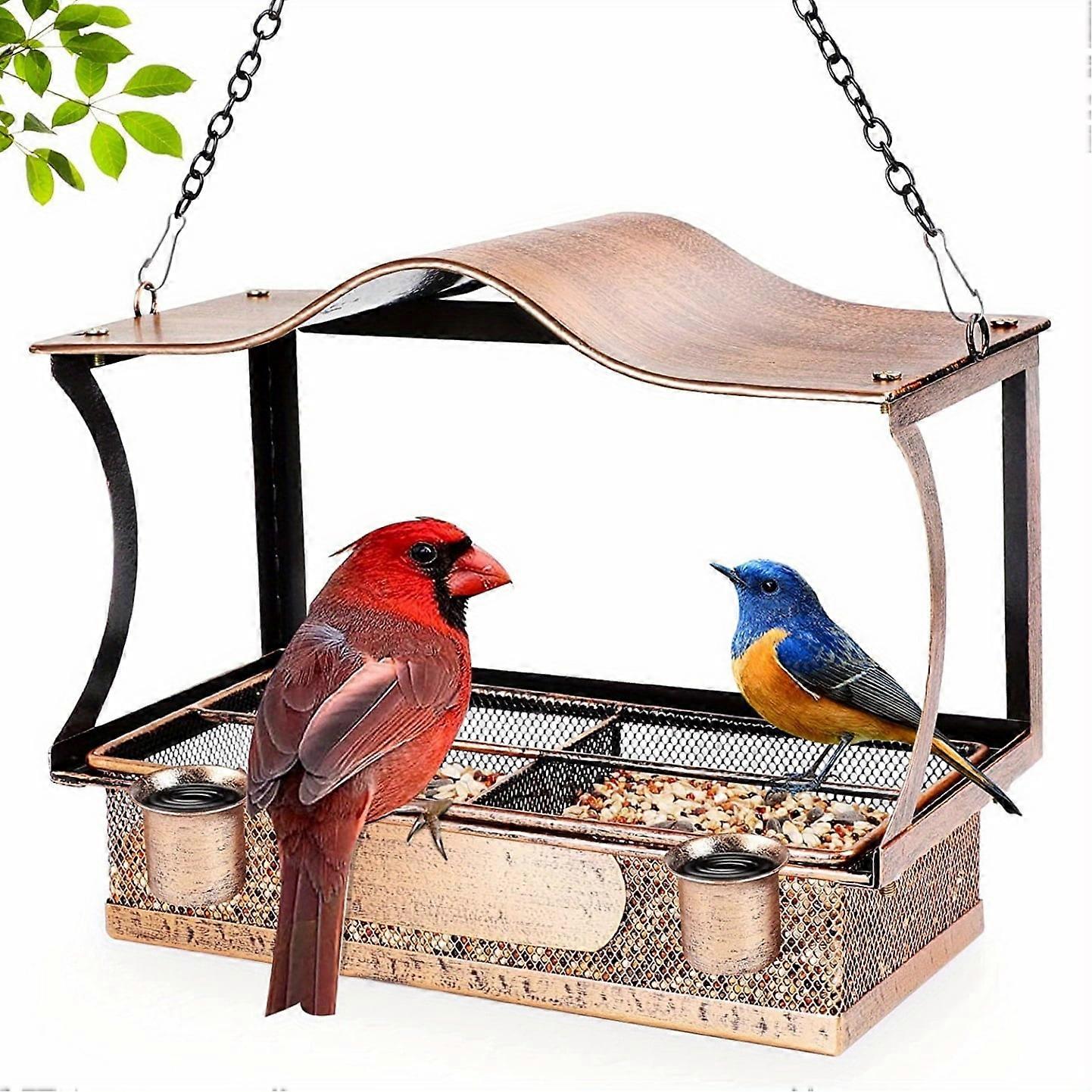 Deluxe Window Bird Feeder - Shockproof, Detachable 2-in-1 with Hanging Chains, Hooks & Waterer - Easy Clean, Weather-Resistant, Attracts Birds