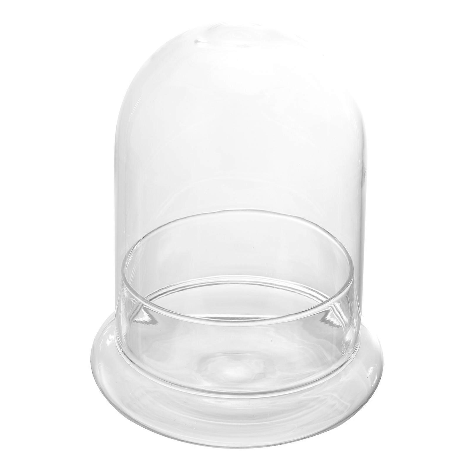 Micro Landscape Glass Bottle for Ecological Display Transparent Dome
