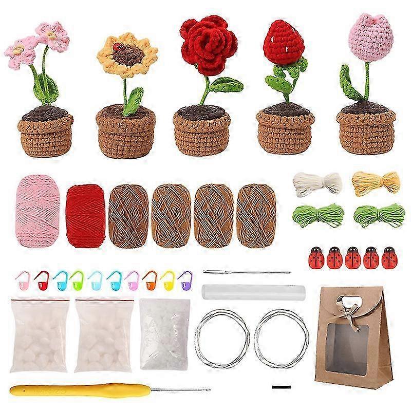 Beginner-Friendly Crochet Plant Kit
