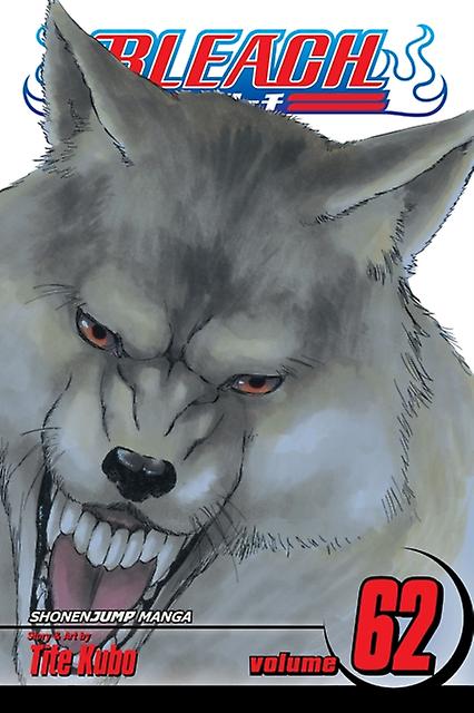 Bleach Vol. 62 - Tite Kubo