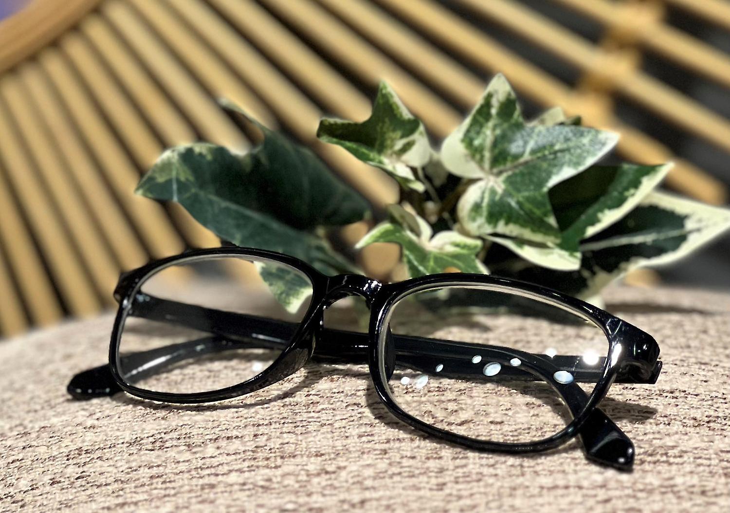 Læsebriller Sort 1,0