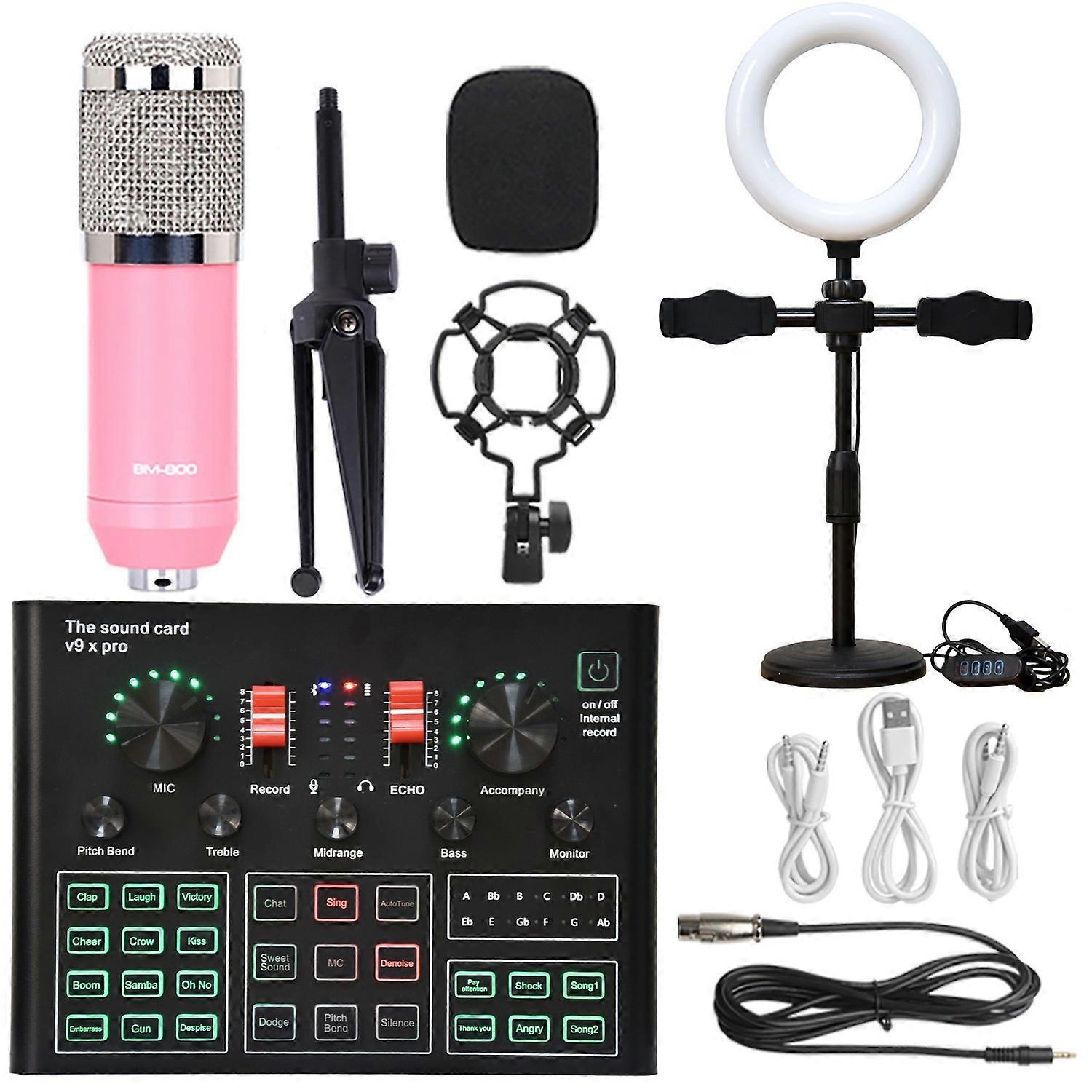 Professional tuning studio sound card pink microphone live sound card set with fill light