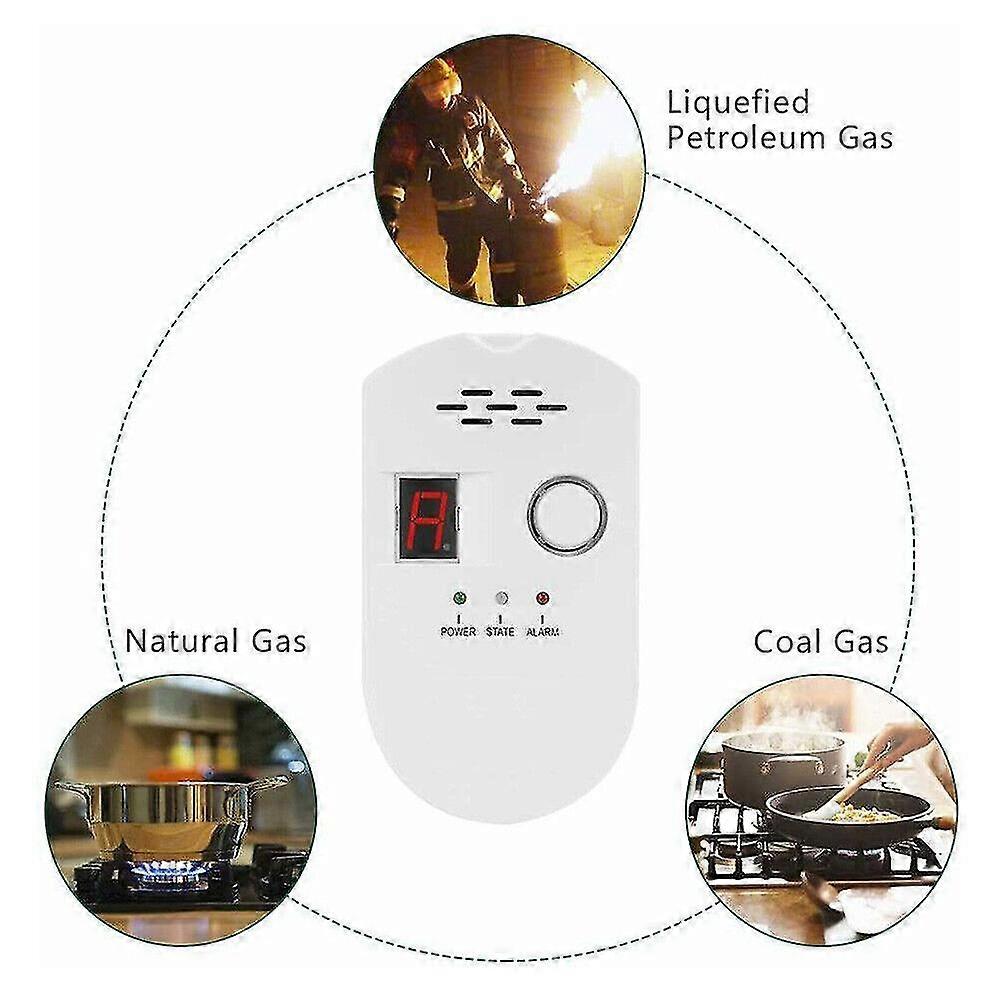Gas Leak Detector Combustible Gas Detector With Audible And Visual Alarm