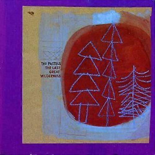 The Pastels The Last Great Wilderness CD (2003)