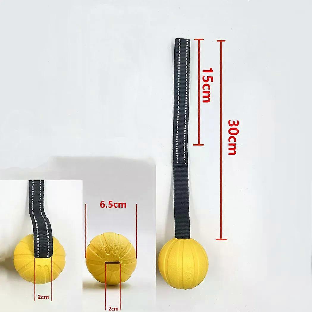 Dog Toy Balls On a Rope for Small Medium Large Dogs Chewers Durable Interactive Ball for Training Dogs EVA Foam Ball Floats