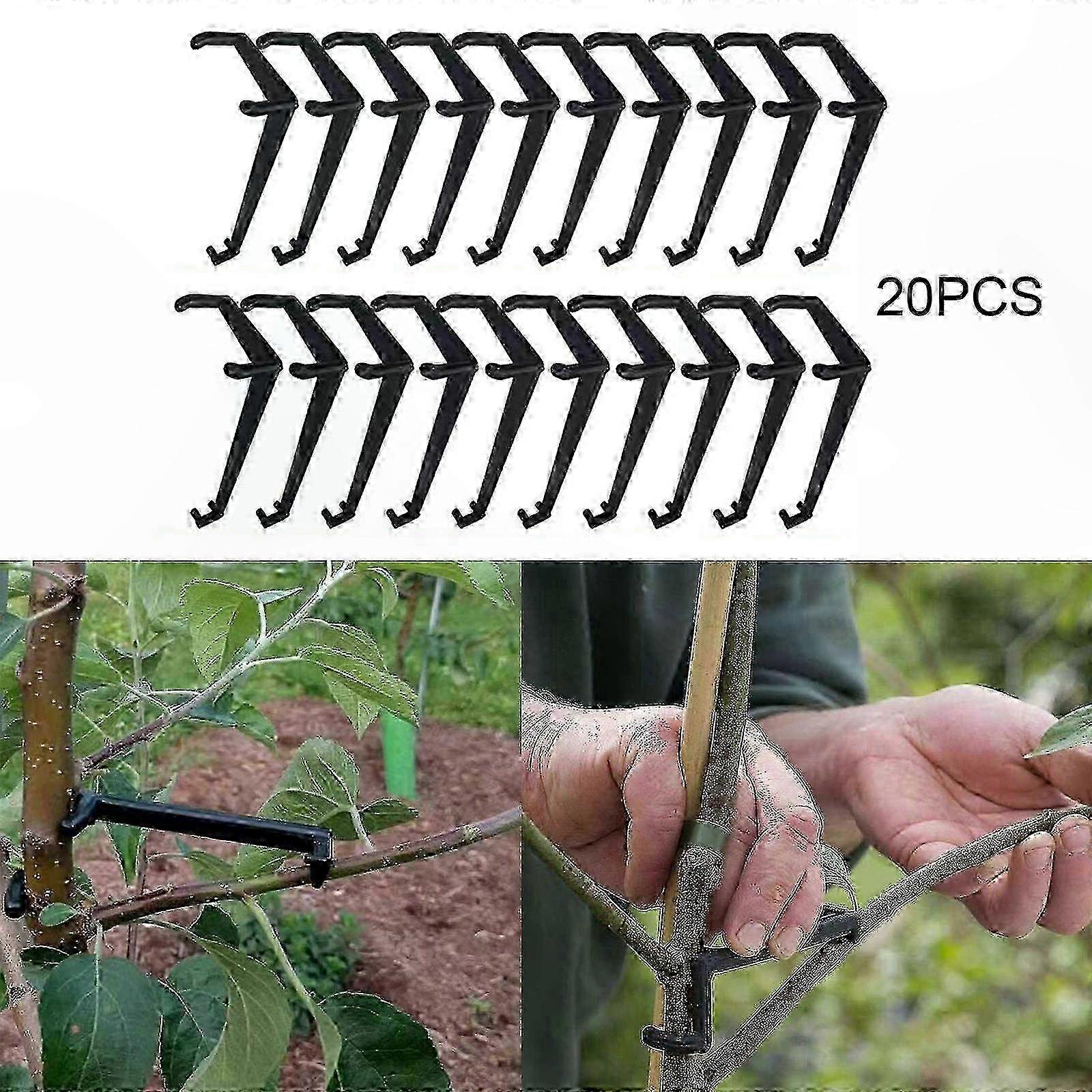 Fruit Tree Branch Spreader for Strong Crotch Angles