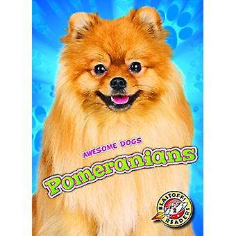 Pomeranians - Domini Brown