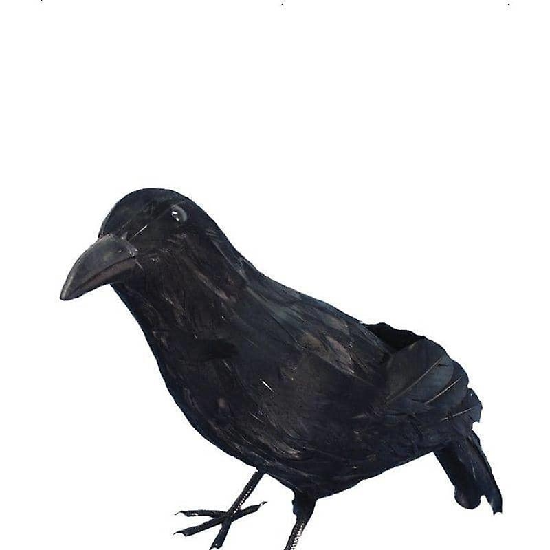 Crow Erwachsene Schwarz 20739