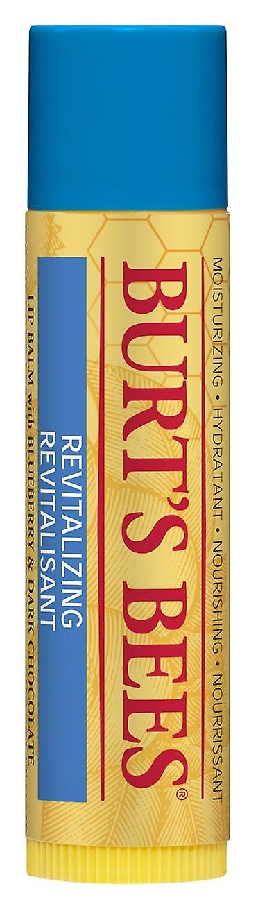 Burt's Bee 润唇膏 - 蓝莓和黑巧克力