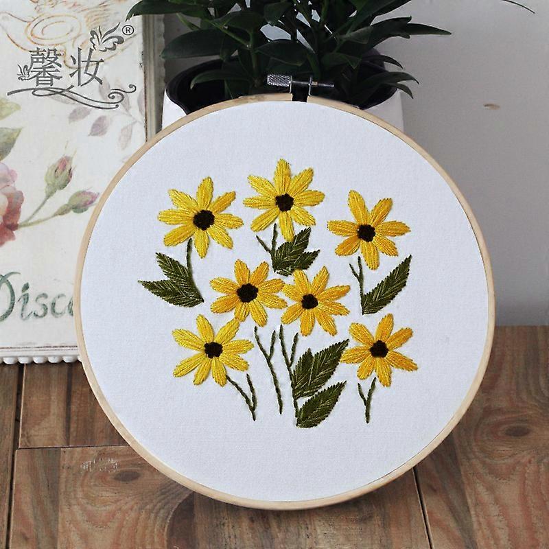 Embroidery Kit Diy, Starter Cross Stitch Sewing With Pattern Description For Beginner Handmade Diy