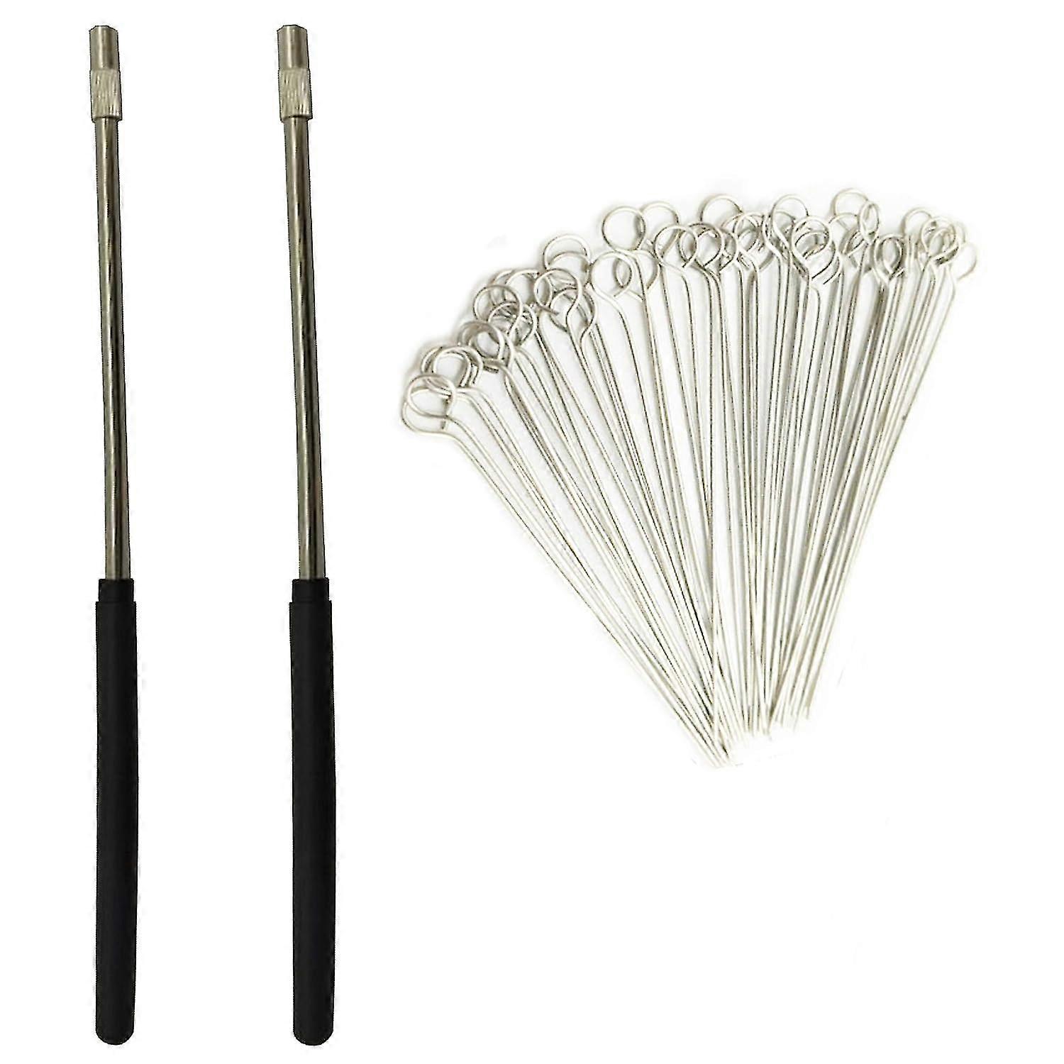 Reusable Inoculating Loop Holders With 10ul Nichrome Needle Tips Inoculation Loop For Bacterial Tissue Culture (2 Pcs)