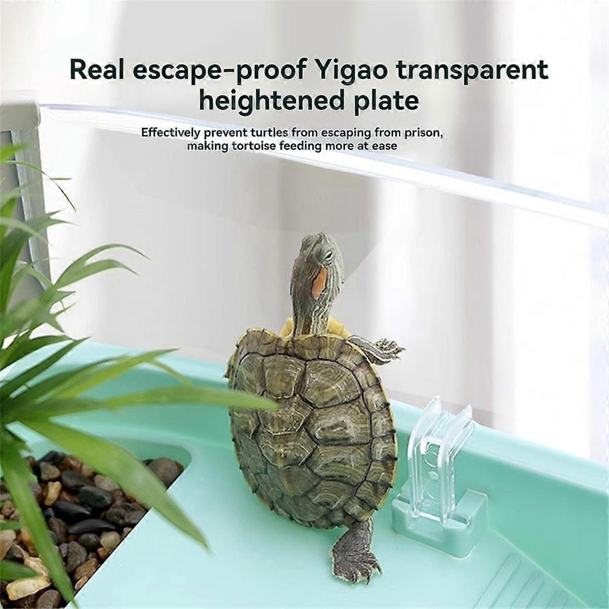 Transparency Turtle Tank House with Areas to Breed Feed Swim Bask Enclosure Water Cage Reptile Habitat Green Type