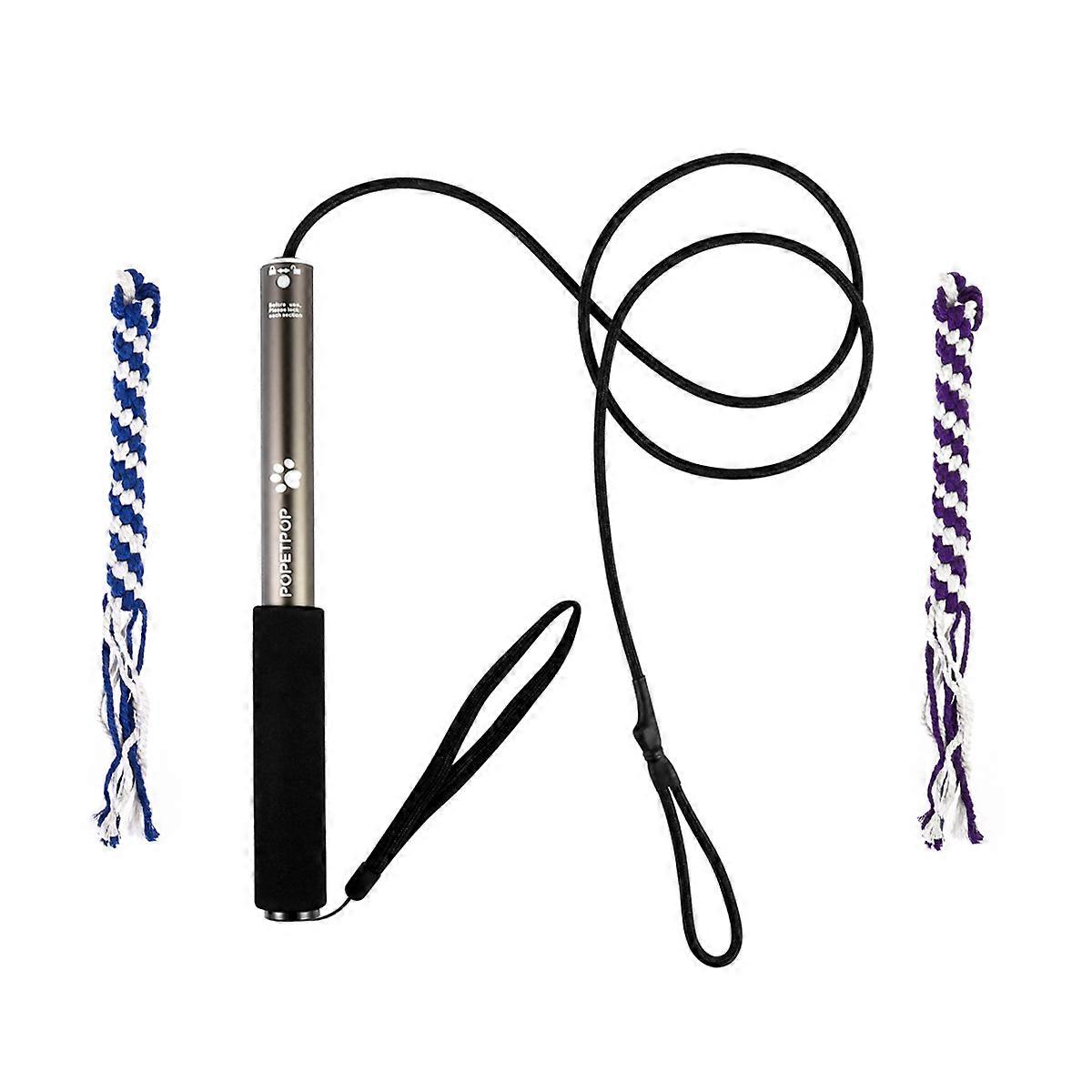 POPETPOP Interactive Dog Teaser Extendable Flirt Pole Funny Chasing Tail Teaser and Exerciser for Pets Size L (Metal)