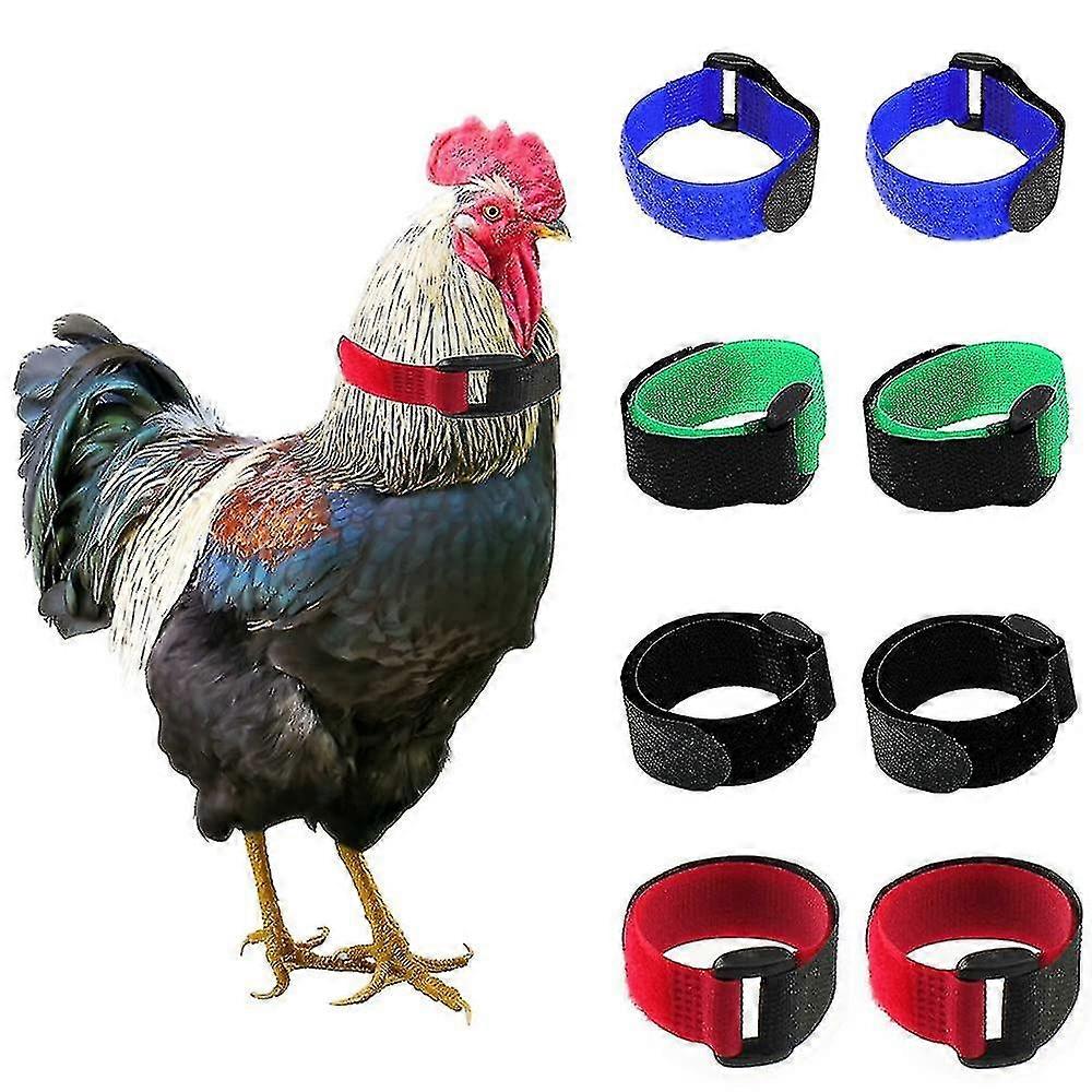Collier de poulet Texture douce Anti-coq Crowing réglable Anti-crochet Coq Collier Fournitures de volaille