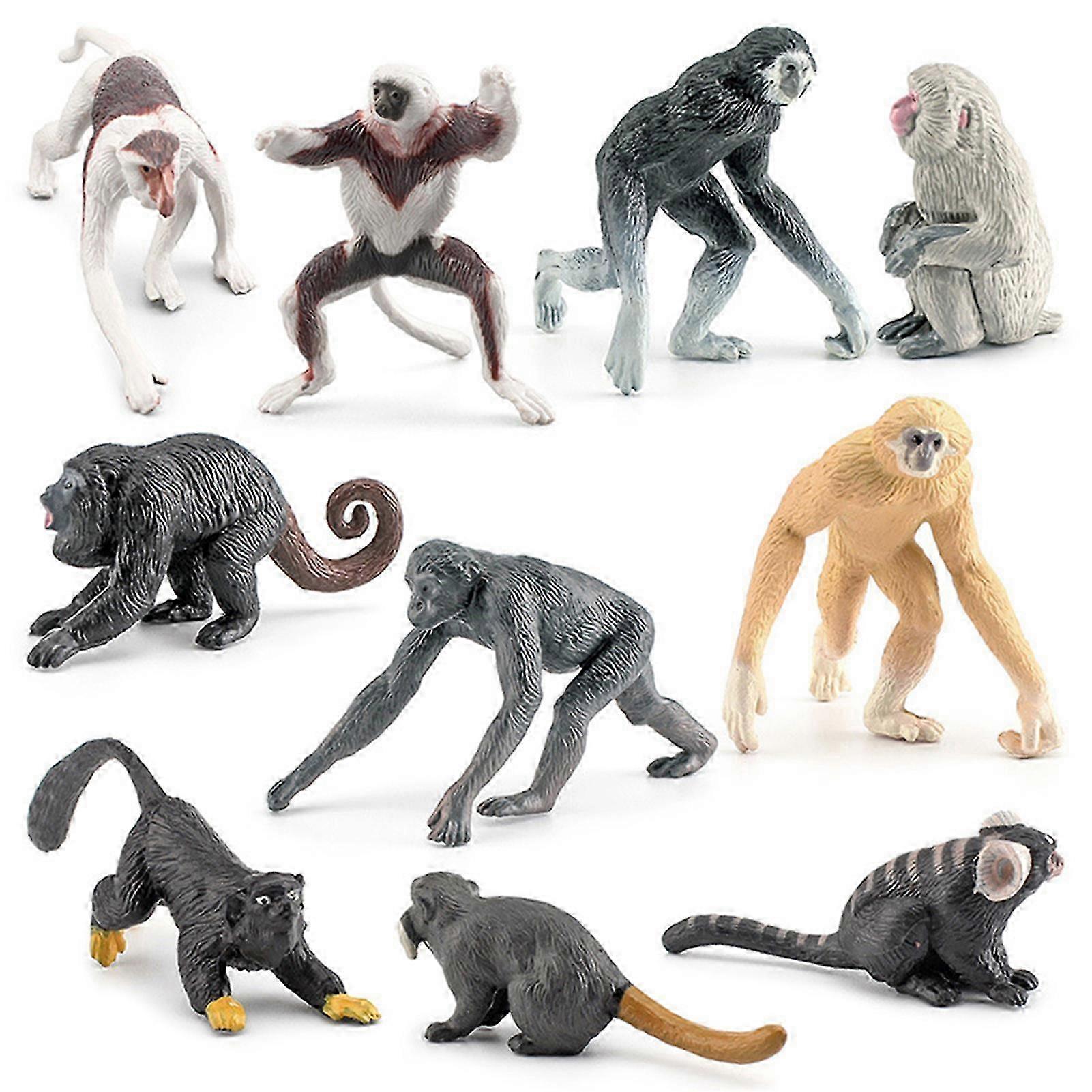 10pcs Realistic Primates Figures Simulation Animal Figurines Kid Educational Toy