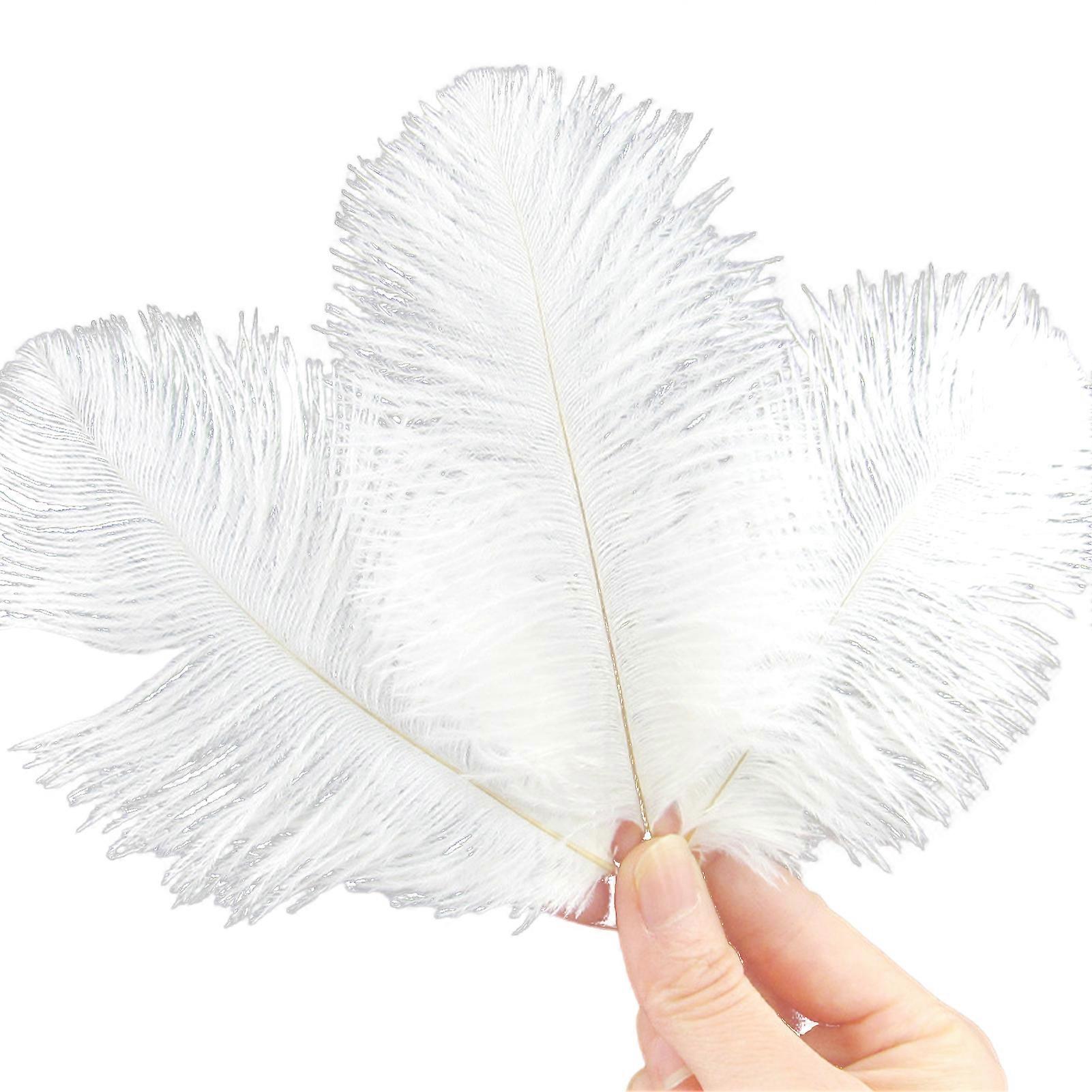 10 Sticks Feather Decoration Kit Centerpieces Crafts Dream Catchers Vibrant Color Feather Art DIY Projects Parties Costume Decor