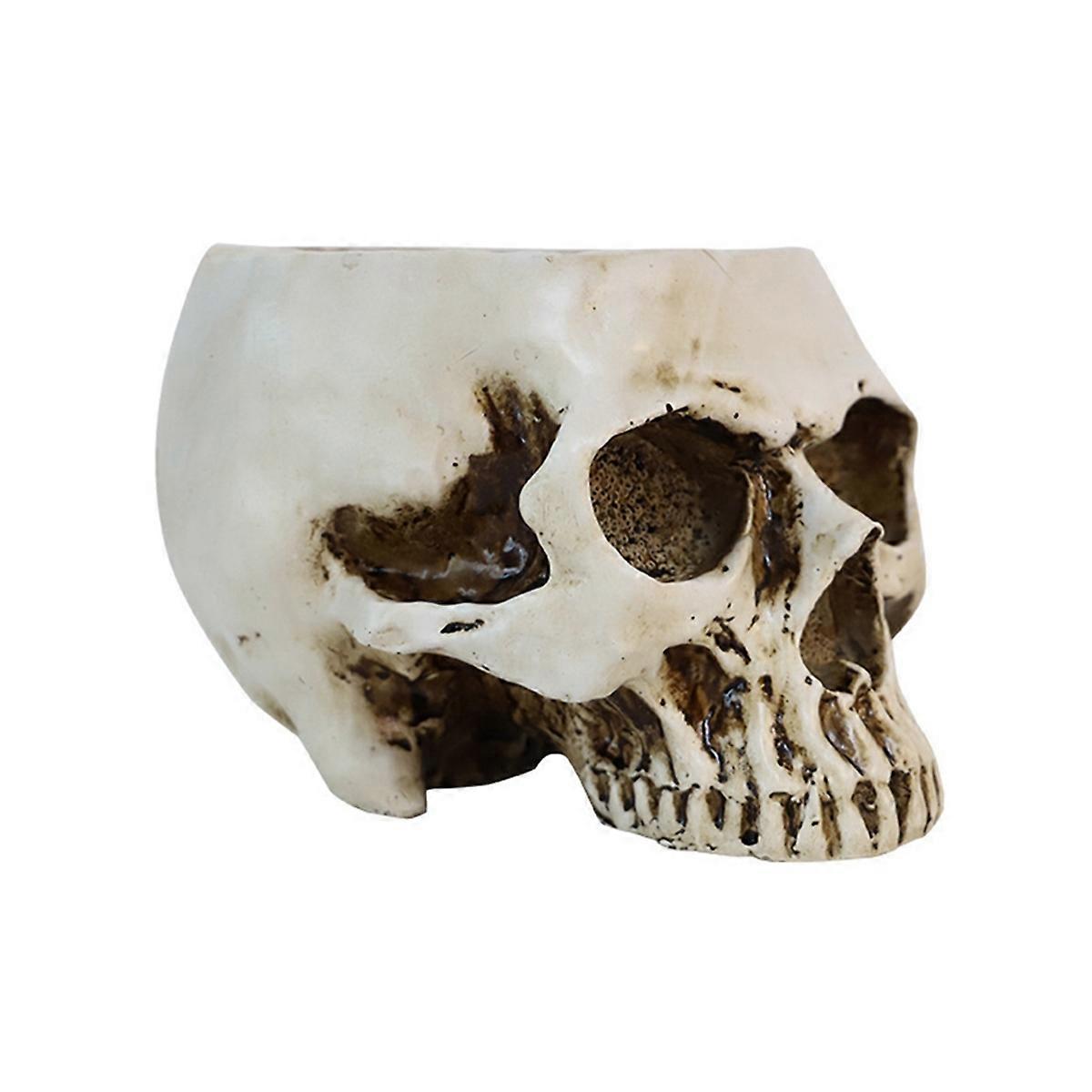 Resin Human Skull Model Workmanship Skull Planter Pot for Home B