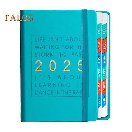 2025 Daily Planner One Day One Page Comprehensive Organizer with Monthly Overviews Holiday Reminders