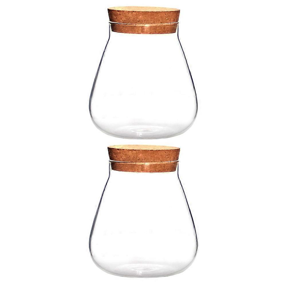 2pcs Clear Micro Landscape Vases for Plants, Durable Decorative Vases for DIY Crafts, Candles, and Home Display