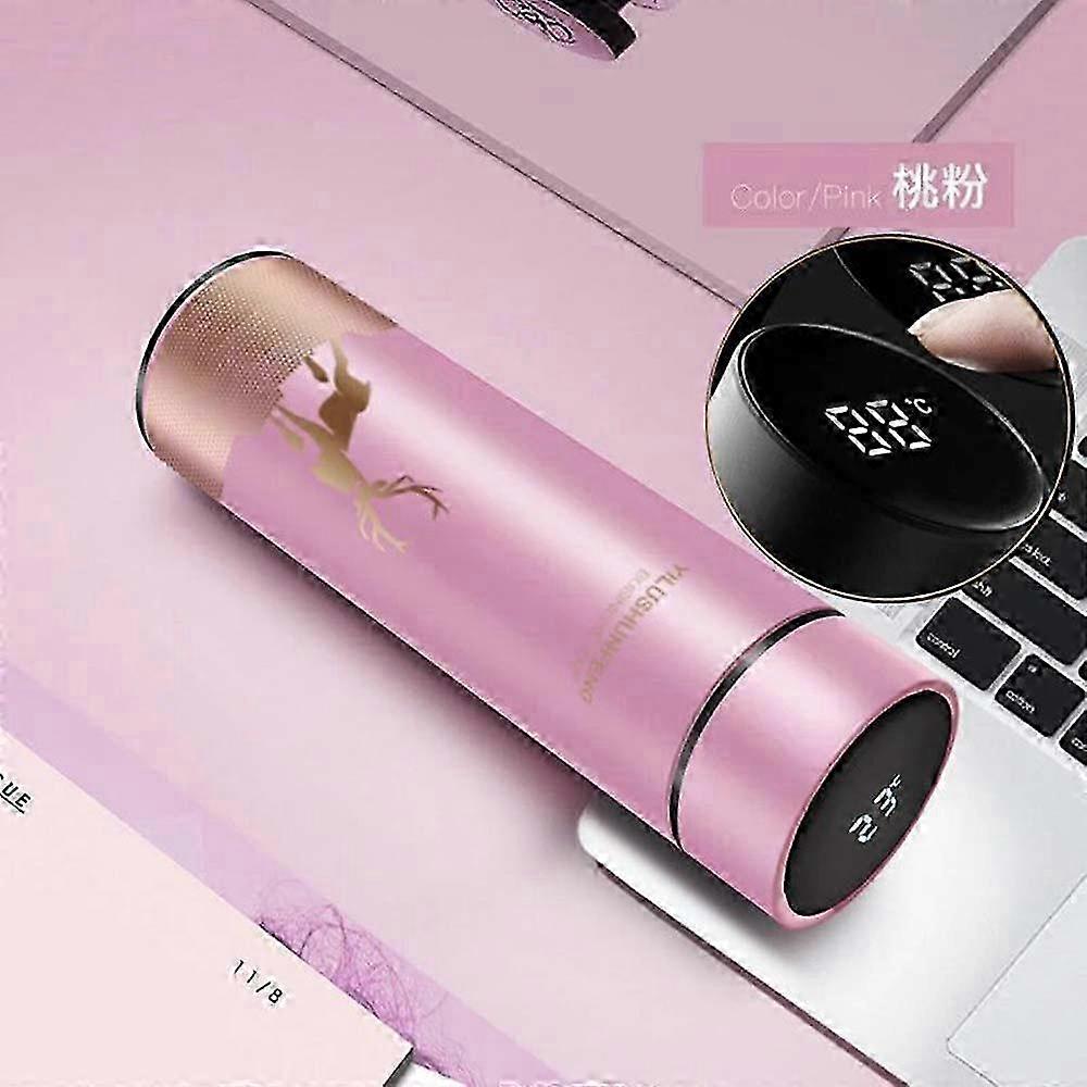 Temperature Thermos With LED Display