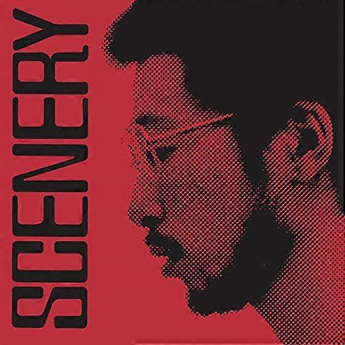 Ryo Fukui - Scenery  [VINYL]