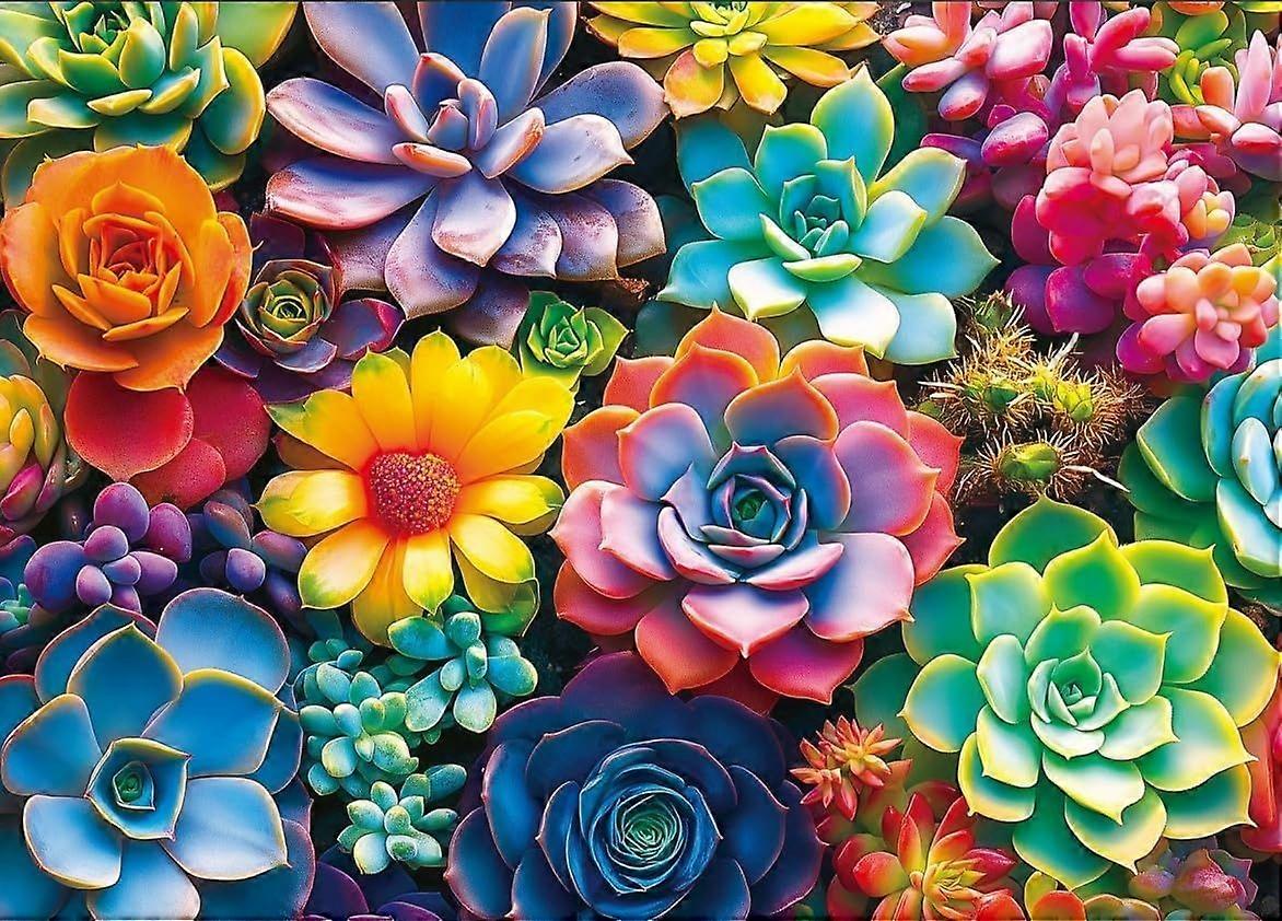 Succulent Puzzle 1000 Pieces for Adults Gradient Colorful Succulent Plant Jigsaw Puzzle