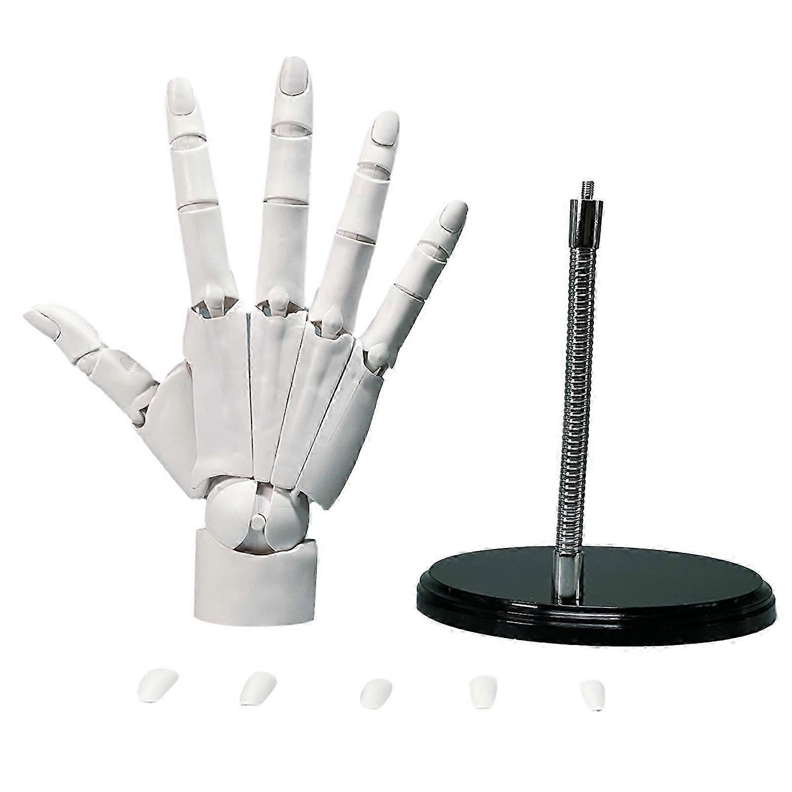 Flexible 1:1 Hand Model Movable Joints Right Left Mannequin Practice Hand