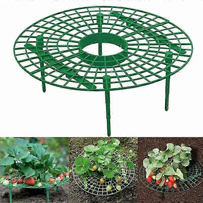 Sturdy Balcony Strawberry Rack