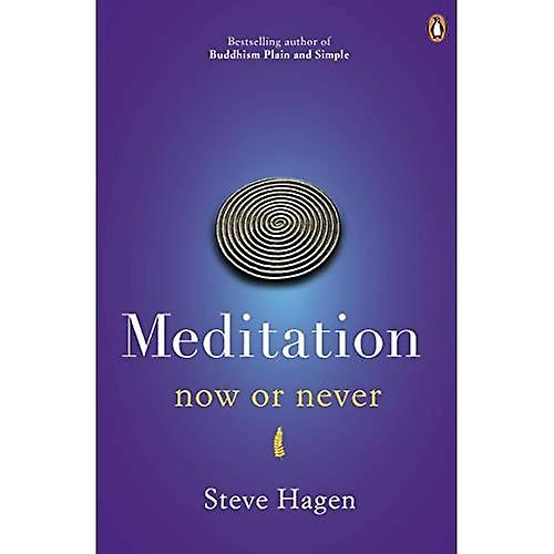 Meditation Now or Never