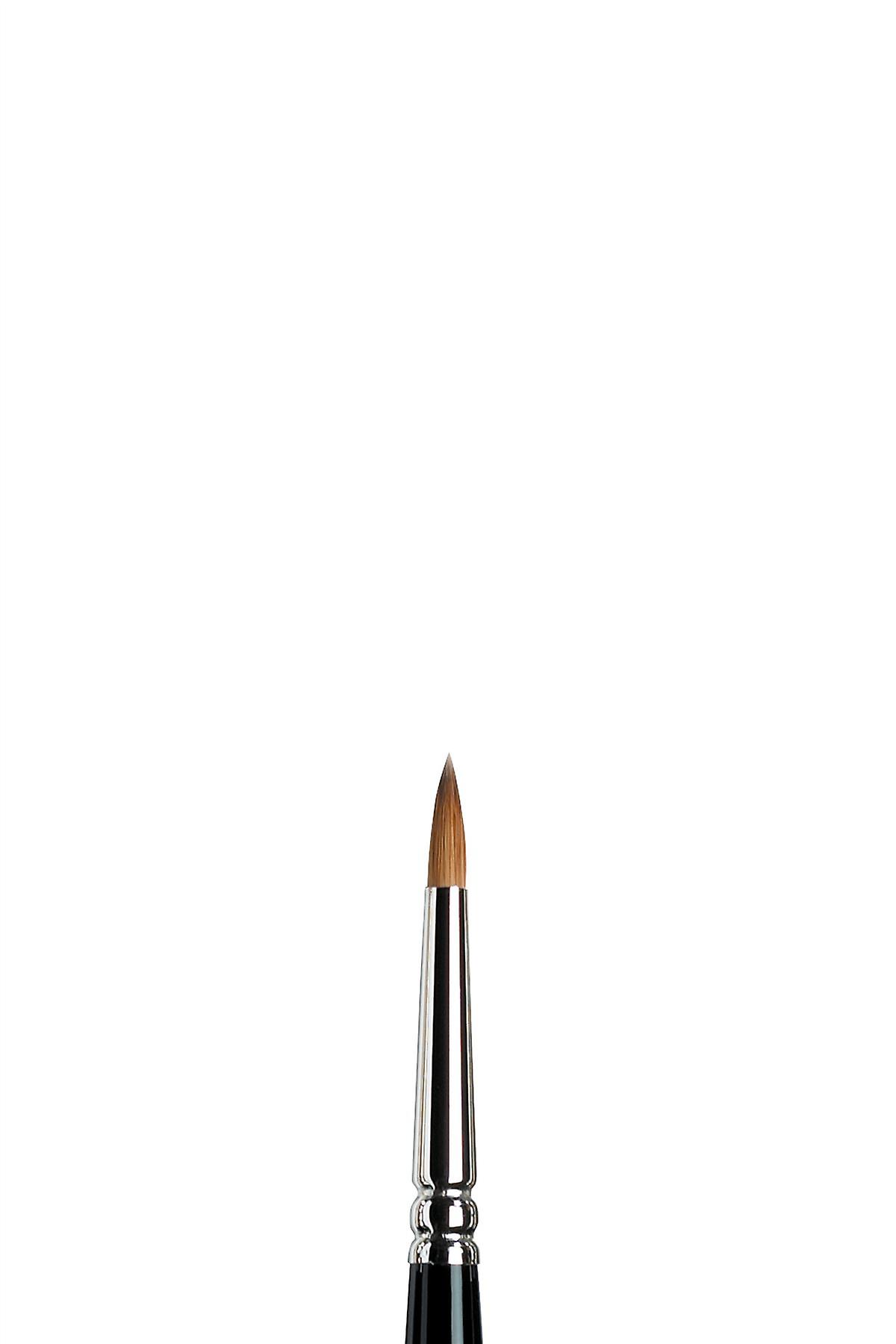 Winsor & Newton Sable Series 7 Brush Miniature 5