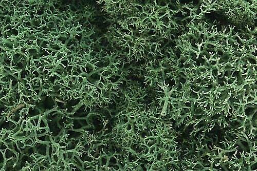 Woodland scenics WL162 Light Green Lichen Suitable for several scales Lichen Scale model