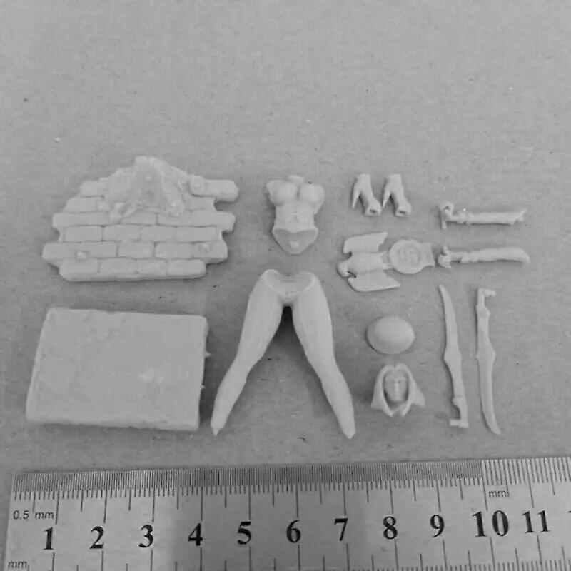 BloodRayne Resin Figures 1/24 Scale 75mm  Assemble Model Kit Unassembled and Unpainted Diorama Toys