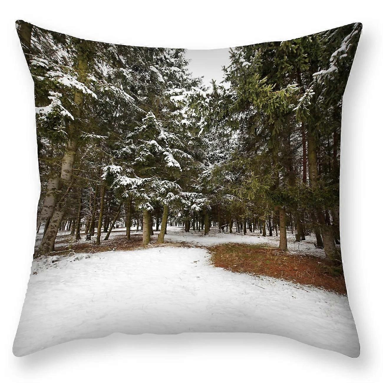 Print Pillowcase Sofa Cushion Cover Design Style -1145