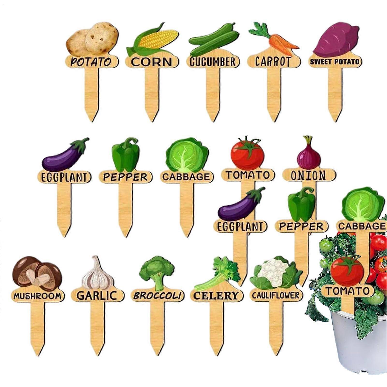 Plant labels, 15 pieces garden markers for outdoor plants reusable greenhouse propagation materials for vegetable plants raised beds