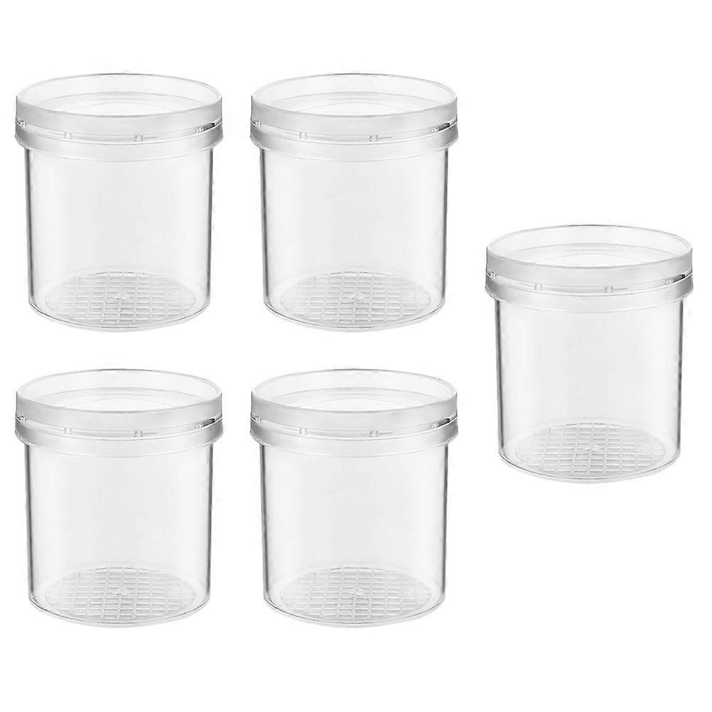 5pcs Insect Observation Magnifier Box   High Transparency Exploration Container for Nature Study & Collection